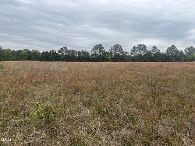 0 Mill Creek Church Rd, Newton Grove, NC 28366