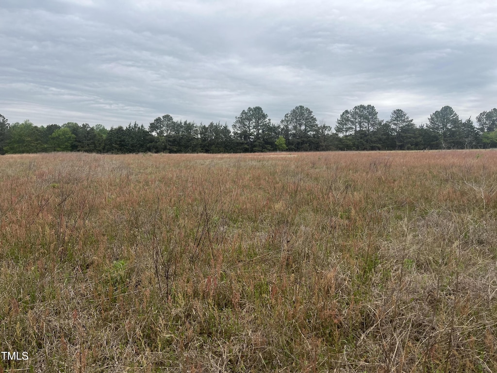 0 Mill Creek Church Rd, Newton Grove, NC 28366