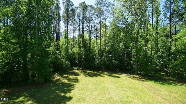 966 Airedale Trl, Garner, NC 27529 - view of green lawn