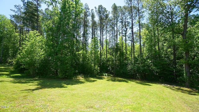 966 Airedale Trl, Garner, NC 27529 - view of green lawn