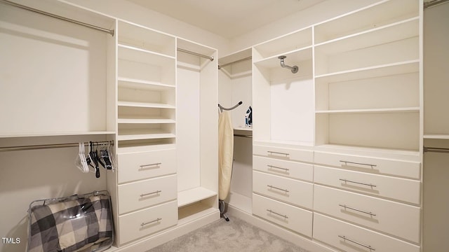 966 Airedale Trl, Garner, NC 27529 - spacious closet featuring light colored carpet