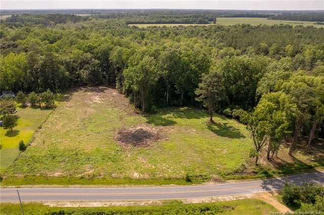 Blue Springs Rd, Red Springs, NC 28377