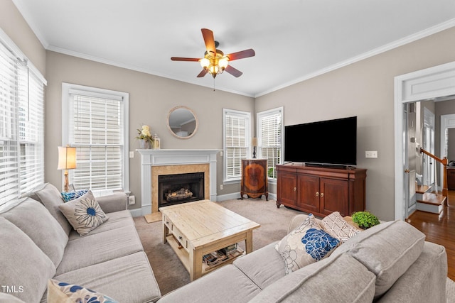 124 Kingsport Rd, Holly Springs, NC 27540 - living area featuring a ceiling fan, ornamental molding, a fireplace, and healthy amount of natural light