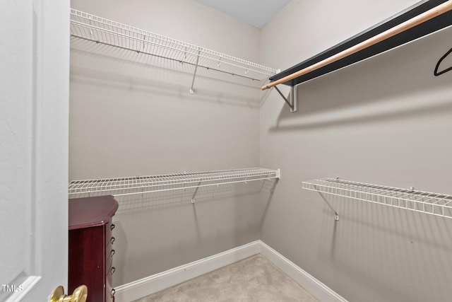 124 Kingsport Rd, Holly Springs, NC 27540 - spacious closet with carpet floors