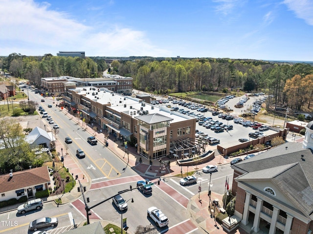 124 Kingsport Rd, Holly Springs, NC 27540 - aerial view of a heavily wooded area