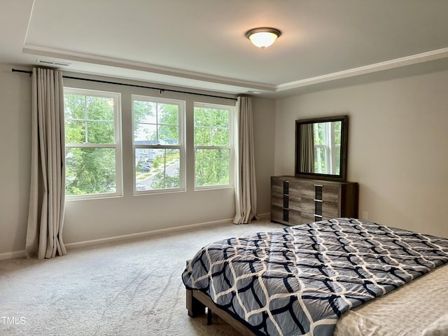 2417 Tobacco Root Dr, Raleigh, NC 27616 - carpeted bedroom with a tray ceiling and baseboards