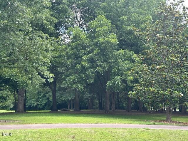 2417 Tobacco Root Dr, Raleigh, NC 27616 - view of home's community featuring a lawn