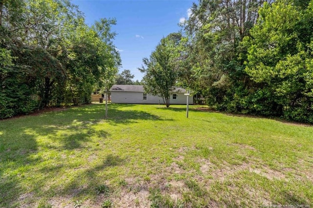 6547 Amanda Cir, Fayetteville, NC 28304 - view of green lawn