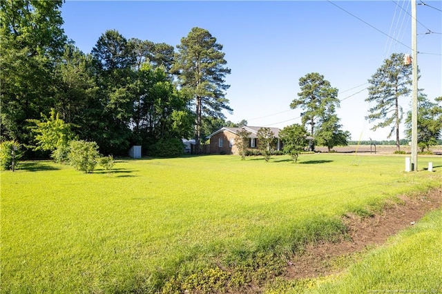 6733 Newton Grove Hwy, Newton Grove, NC 28366 - view of grassy yard