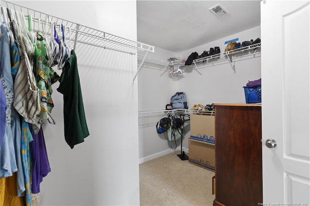 229 Red Oak Ct, Raeford, NC 28376 - walk in closet with carpet floors