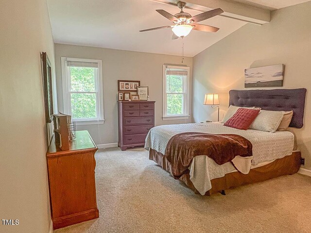 5500 Fortunes Ridge Dr Unit 94C, Durham, NC 27713 - bedroom with light colored carpet, multiple windows, and ceiling fan