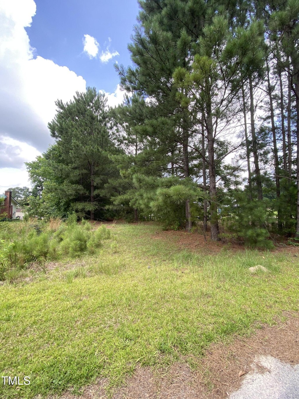 0 Minter Ave, Sanford, NC 27330 - photo 4