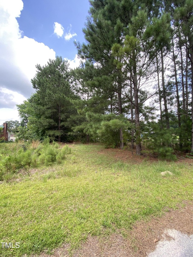 0 Minter Ave, Sanford, NC 27330 - photo 4