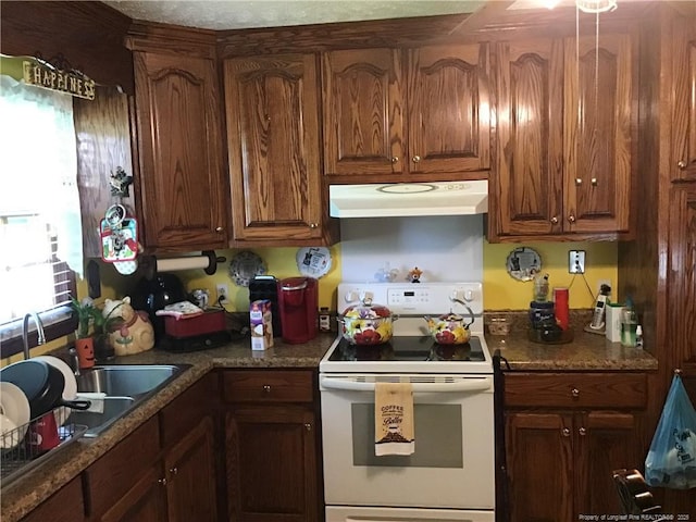 108 Thurlow St, Red Springs, NC 28377 - kitchen with electric range, under cabinet range hood, healthy amount of natural light, and brown cabinetry