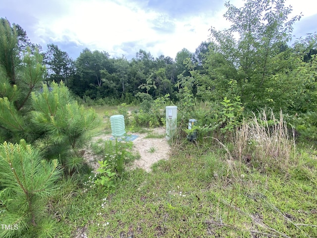 814 Juno Dr, Broadway, NC 27505 - photo 9