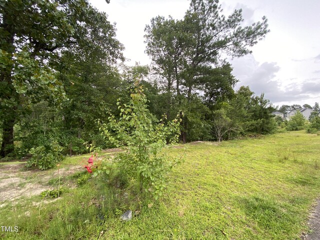 814 Juno Dr, Broadway, NC 27505 - photo 11