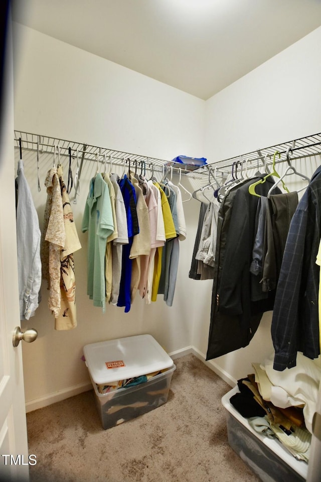83 Mariners Point Way, Garner, NC 27529 - walk in closet with carpet flooring