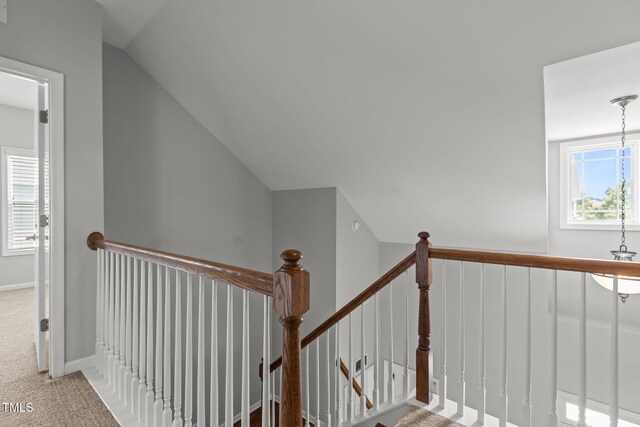 1172 Pemberly Ave, Morrisville, NC 27560 - stairs with vaulted ceiling and carpet floors