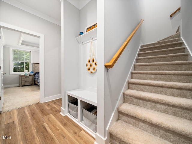 1176 Sagamore Dr, Louisburg, NC 27549 - stairs featuring wood finished floors and ornamental molding