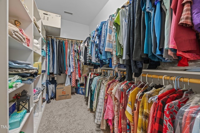8116 Mosby Way, Willow Springs, NC 27592 - walk in closet with carpet