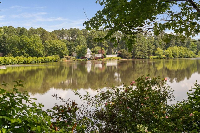 2 Lake Village Dr, Durham, NC 27713 - photo 19