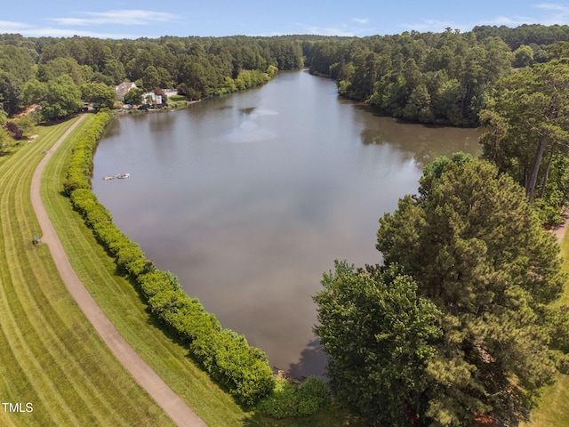 2 Lake Village Dr, Durham, NC 27713 - photo 39