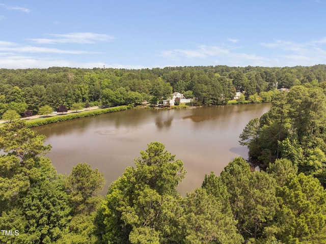 2 Lake Village Dr, Durham, NC 27713 - photo 40