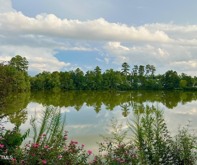 2 Lake Village Dr, Durham, NC 27713 - photo 7