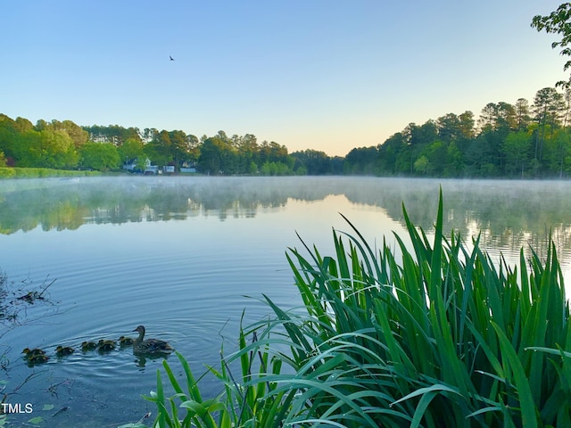 2 Lake Village Dr, Durham, NC 27713 - photo 1