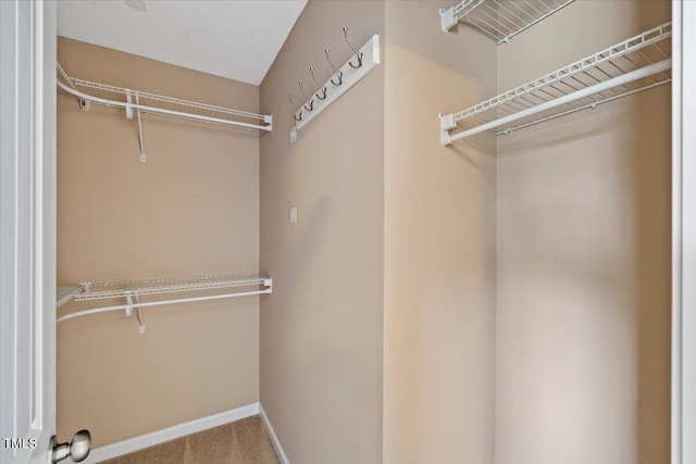 504 Gumview Cir, Fuquay Varina, NC 27526 - walk in closet featuring carpet floors
