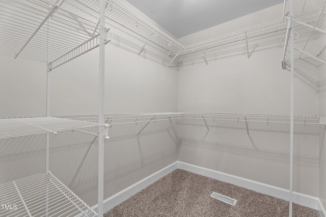 4408 Highmeadow Ln N, Wilson, NC 27896 - walk in closet with carpet floors