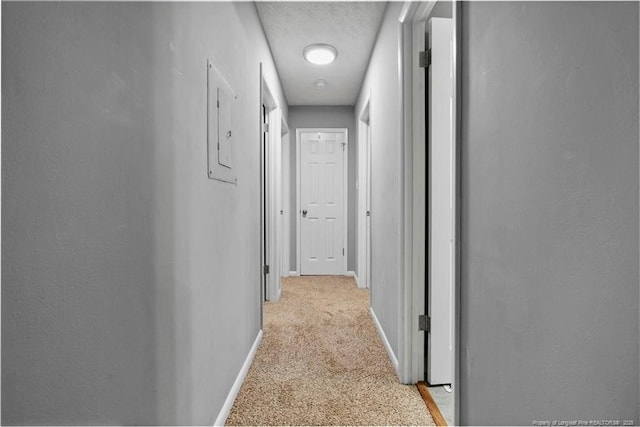 6405 Riegelwood St, Fayetteville, NC 28314 - hallway featuring light carpet and a textured ceiling