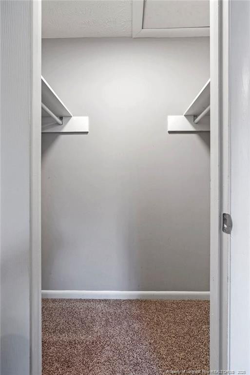 6405 Riegelwood St, Fayetteville, NC 28314 - walk in closet featuring carpet flooring