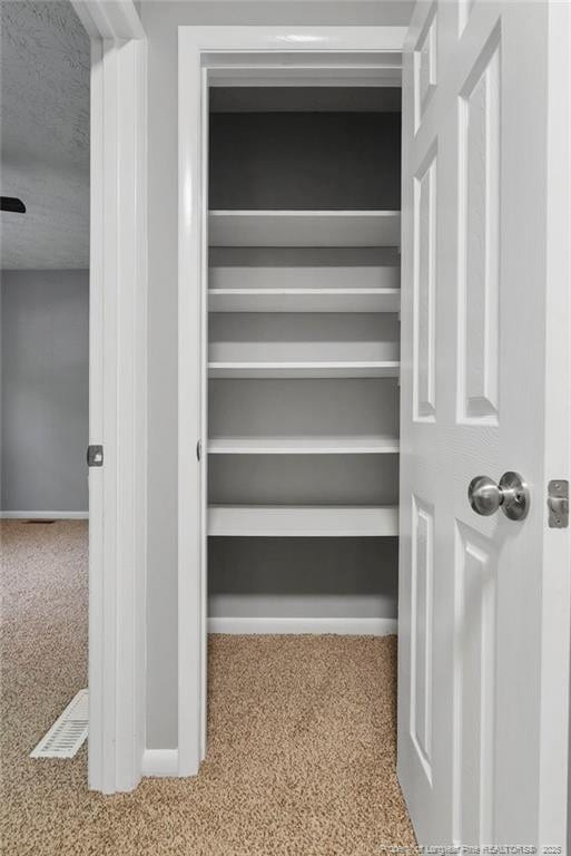 6405 Riegelwood St, Fayetteville, NC 28314 - view of closet