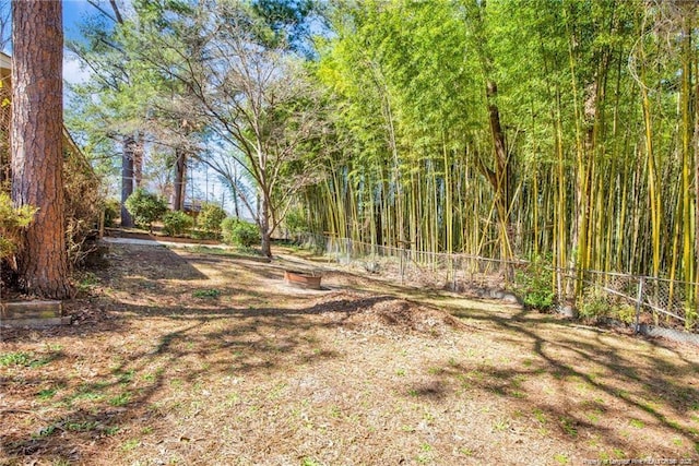 6411 Huntleigh Ct, Fayetteville, NC 28303 - view of yard