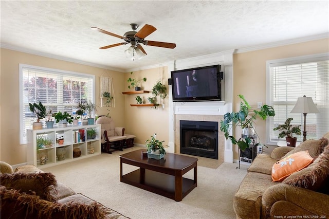 3401 Connection Dr, Fayetteville, NC 28311 - carpeted living room with ornamental molding, a ceiling fan, and a fireplace