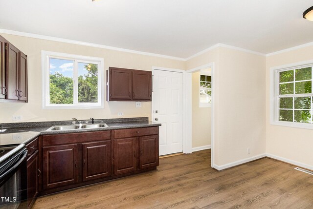 919 Chester St, Durham, NC 27701 - kitchen featuring dark countertops, black / electric stove, light wood-style flooring, plenty of natural light, and ornamental molding
