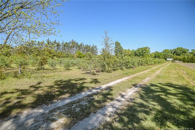 3282 County Line Rd, Fayetteville, NC 28306 - photo 35