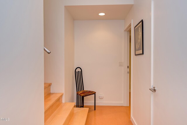 1908 S Lakeshore Dr, Chapel Hill, NC 27514 - photo 37