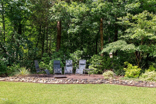 1908 S Lakeshore Dr, Chapel Hill, NC 27514 - photo 55