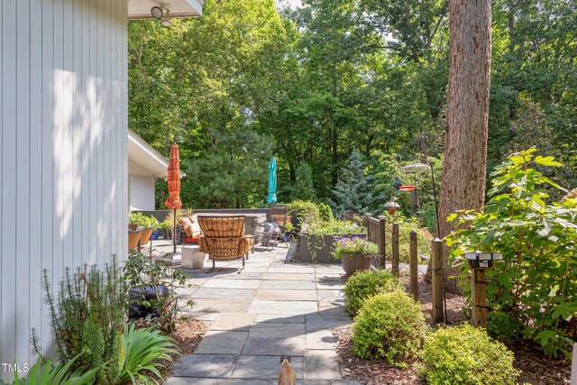 1908 S Lakeshore Dr, Chapel Hill, NC 27514 - photo 48