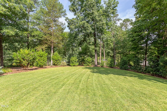 1908 S Lakeshore Dr, Chapel Hill, NC 27514 - photo 5