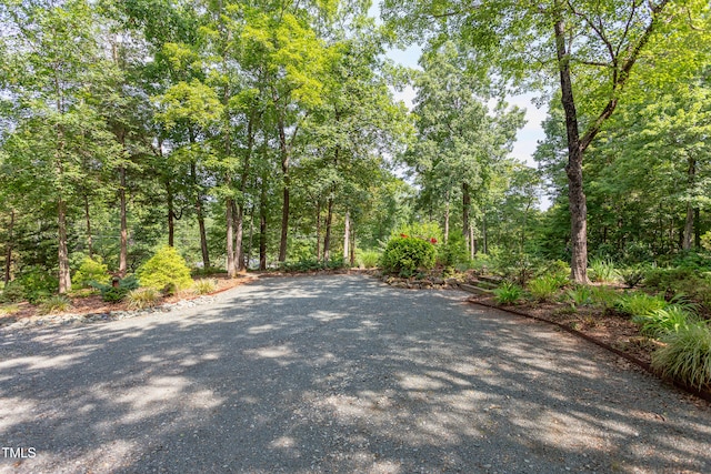 1908 S Lakeshore Dr, Chapel Hill, NC 27514 - photo 57
