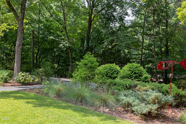 1908 S Lakeshore Dr, Chapel Hill, NC 27514 - photo 2