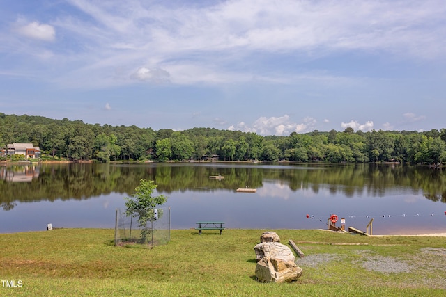 1908 S Lakeshore Dr, Chapel Hill, NC 27514 - photo 60