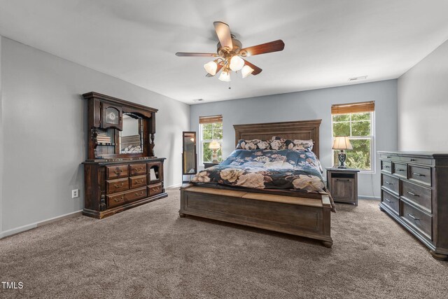 119 Tadworth Ct, Mebane, NC 27302 - photo 21