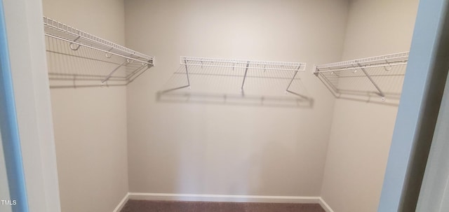 1426 Rosepine Dr, Cary, NC 27519 - view of walk in closet