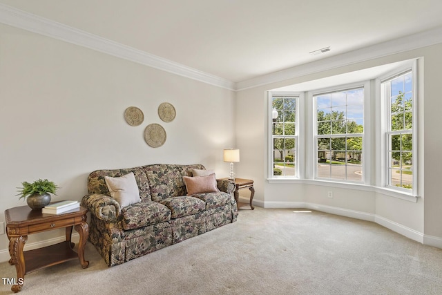 400 Indian Elm Ln, Cary, NC 27519 - living area featuring ornamental molding and carpet flooring