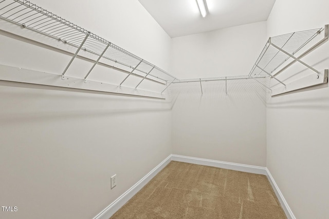 400 Indian Elm Ln, Cary, NC 27519 - walk in closet with light carpet