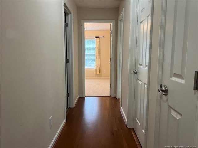 3322 Harbour Pointe Pl Unit 17, Fayetteville, NC 28314 - corridor featuring dark wood-style floors and baseboards